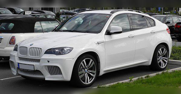 2009 BMW X6 M (E71) cover