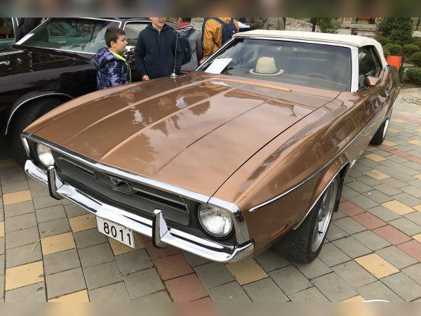 1970 Ford Mustang Convertible I (facelift 1970) cover
