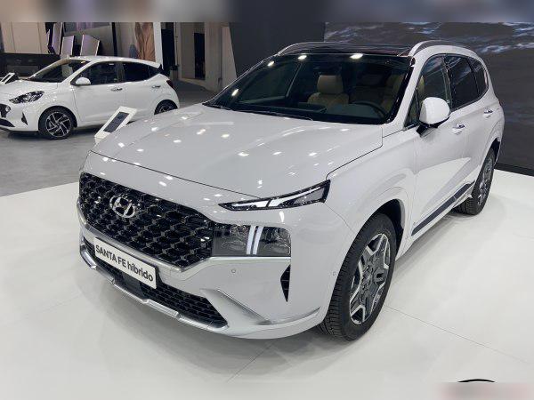2020 Hyundai Santa Fe IV (TM, facelift 2020) cover