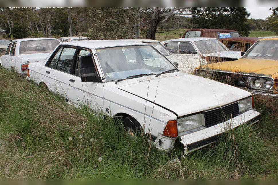 1980 Nissan Bluebird (910) cover
