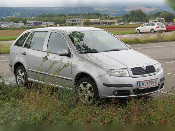 2004 Skoda Fabia I Combi (6Y, facelift 2004) cover