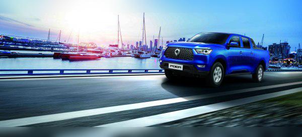 Great Wall POER Commercial cover